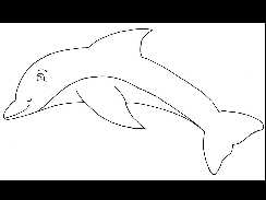 delfines 9 kifestok